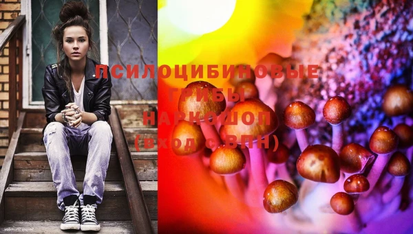МДПВ Верхний Тагил