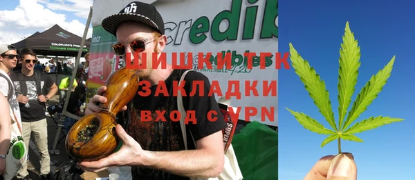 МДПВ Верхний Тагил